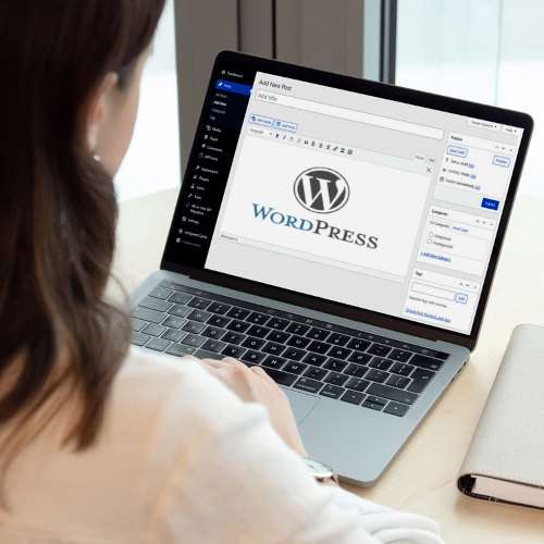 Conheça o WordPress